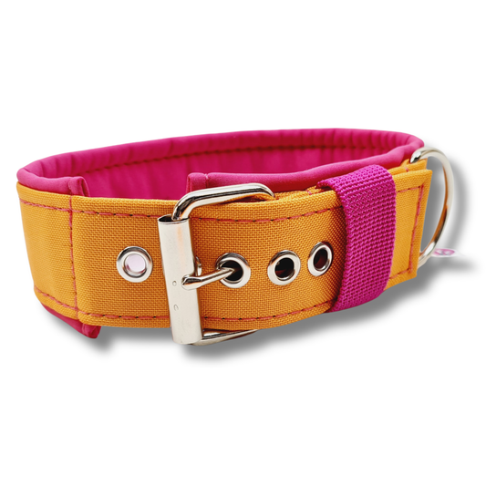 Hundehalsband-Outdoor-uni (personalisierbar)