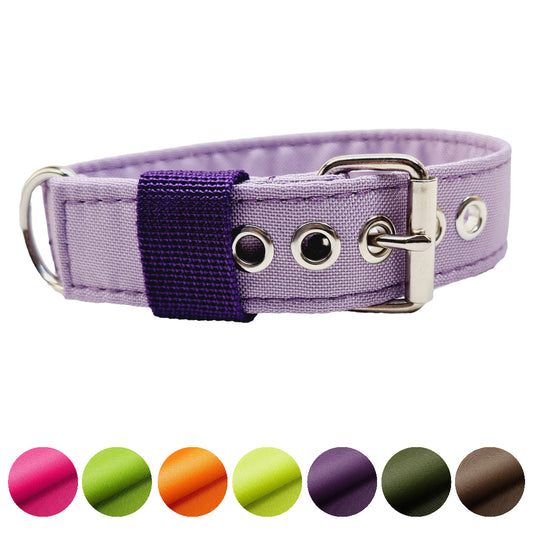 Hundehalsband Halsband Hund Hunde breites Halsband bunt Leo multi neon Schnalle Klickverschluss Martingale Zugstopp Paracord Tauhalsband Lederhalsband Dog collar Hundeaccessoires Hundetraining Hundezeug Hundeladen Onlineshop Hundeleine Leine leash Tauleine Fettleder Lederleine lang verstellbar stufenlos softshell outdoor cord canvas wasserabweisend 
