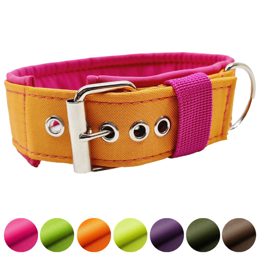 Hundehalsband Halsband Hund Hunde breites Halsband bunt Leo multi neon Schnalle Klickverschluss Martingale Zugstopp Paracord Tauhalsband Lederhalsband Dog collar Hundeaccessoires Hundetraining Hundezeug Hundeladen Onlineshop Hundeleine Leine leash Tauleine Fettleder Lederleine lang verstellbar stufenlos softshell outdoor cord canvas wasserabweisend 