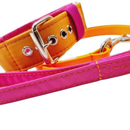 Hundehalsband Lederhalsband Paracord Zugstopp-Halsband Martingale Hundeleine Leine Lederleine Fettlederleine breites Halsband Klickverschluss Rollschnalle Ersatzbezug Flocke Hundebett Cosybed Hyggebed Donut Hundebett Flocke hundeschlafsack Hundedecke Hund Hunde Windhund luxus elegant exklusiv bequem handmade in Deutschland NRW gepolstert Softshell Brokat Dackel Dalmatiner Rhodesian Ridgeback Vizla Podenco Galgo Jagdhund Terrier Bulldogge OEB Frenchie Saluki Barsoi Labrador Cocker Spaniel Gurtband Outdoor