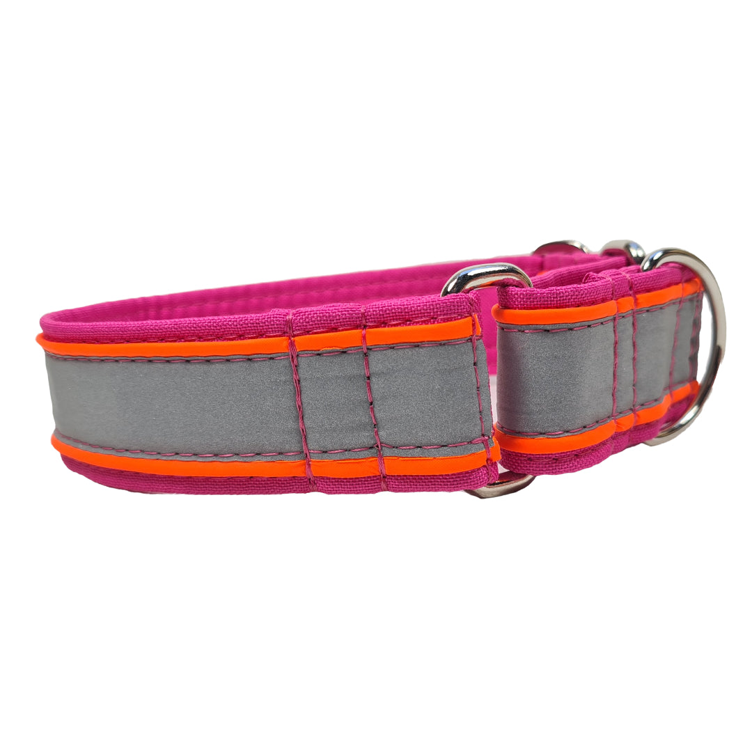 Hundehalsband Zugstopphalsband Martingale Martingalecollar Leuchthalsband reflektorhalsband reflektierend Leine Paracordhalsband Lederleine Fettleder leuchtet Orbiloc Tauleine Hunderassen Pudel Vizla Ridgeback Dalmatiner Jagdhund Deutschdrahthaar Pointer Windhund OEB Terrier Beagle Labrador