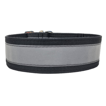 Hundehalsband Zugstopphalsband Martingale Martingalecollar Leuchthalsband reflektorhalsband reflektierend Leine Paracordhalsband Lederleine Fettleder leuchtet Orbiloc Tauleine Hunderassen Pudel Vizla Ridgeback Dalmatiner Jagdhund Deutschdrahthaar Pointer Windhund OEB Terrier Beagle Labrador
