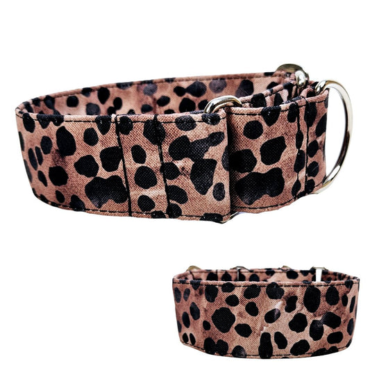 Hundehalsband Halsband Hund Hunde breites Halsband bunt Leo multi neon Schnalle Klickverschluss Martingale Zugstopp Paracord Tauhalsband Lederhalsband Dog collar Hundeaccessoires Hundetraining Hundezeug Hundeladen Onlineshop Hundeleine Leine leash Tauleine Fettleder Lederleine lang verstellbar stufenlos softshell outdoor cord canvas wasserabweisend 