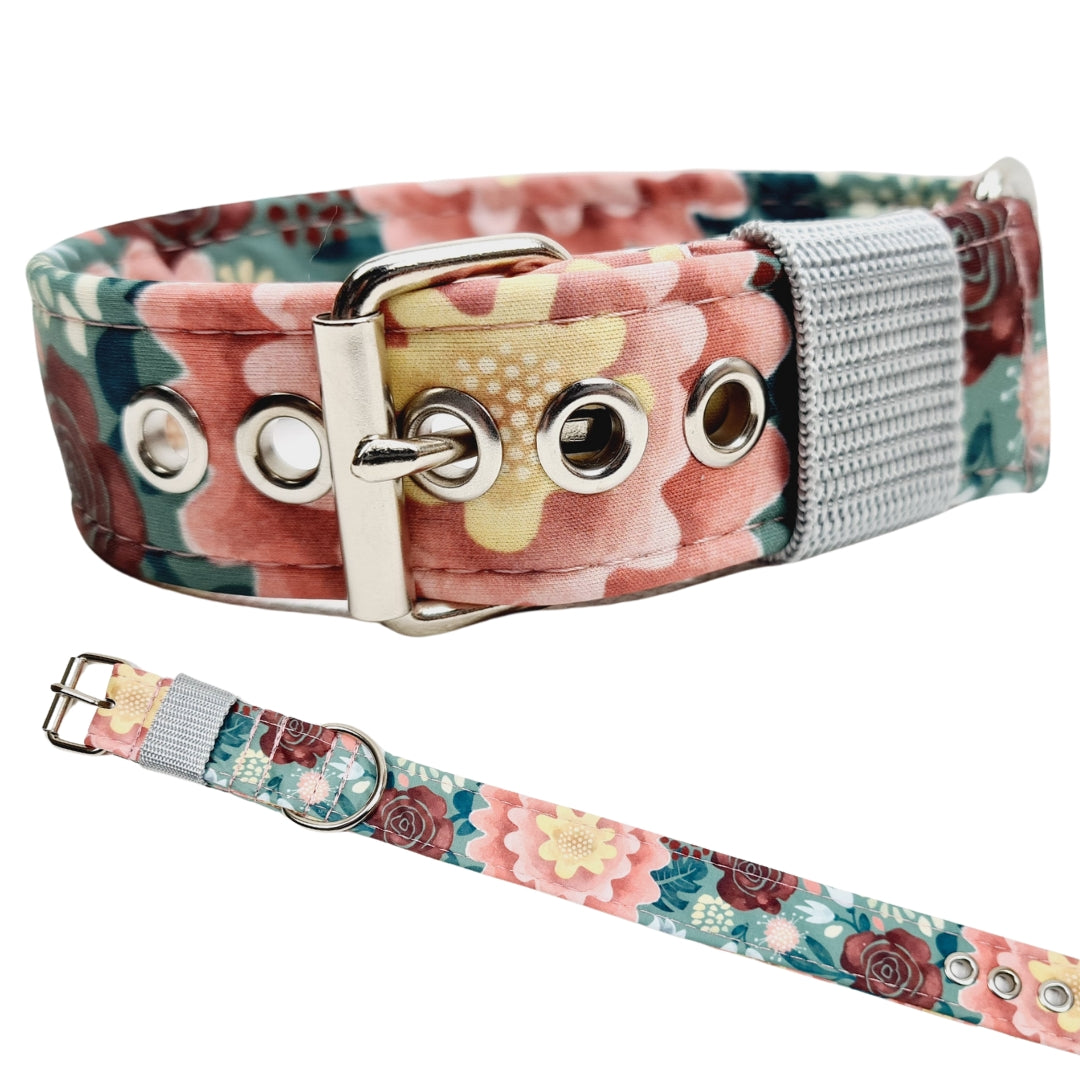 Hundehalsband Halsband Hund Hunde breites Halsband bunt Leo multi neon Schnalle Klickverschluss Martingale Zugstopp Paracord Tauhalsband Lederhalsband Dog collar Hundeaccessoires Hundetraining Hundezeug Hundeladen Onlineshop Hundeleine Leine leash Tauleine Fettleder Lederleine lang verstellbar stufenlos softshell outdoor cord canvas wasserabweisend 