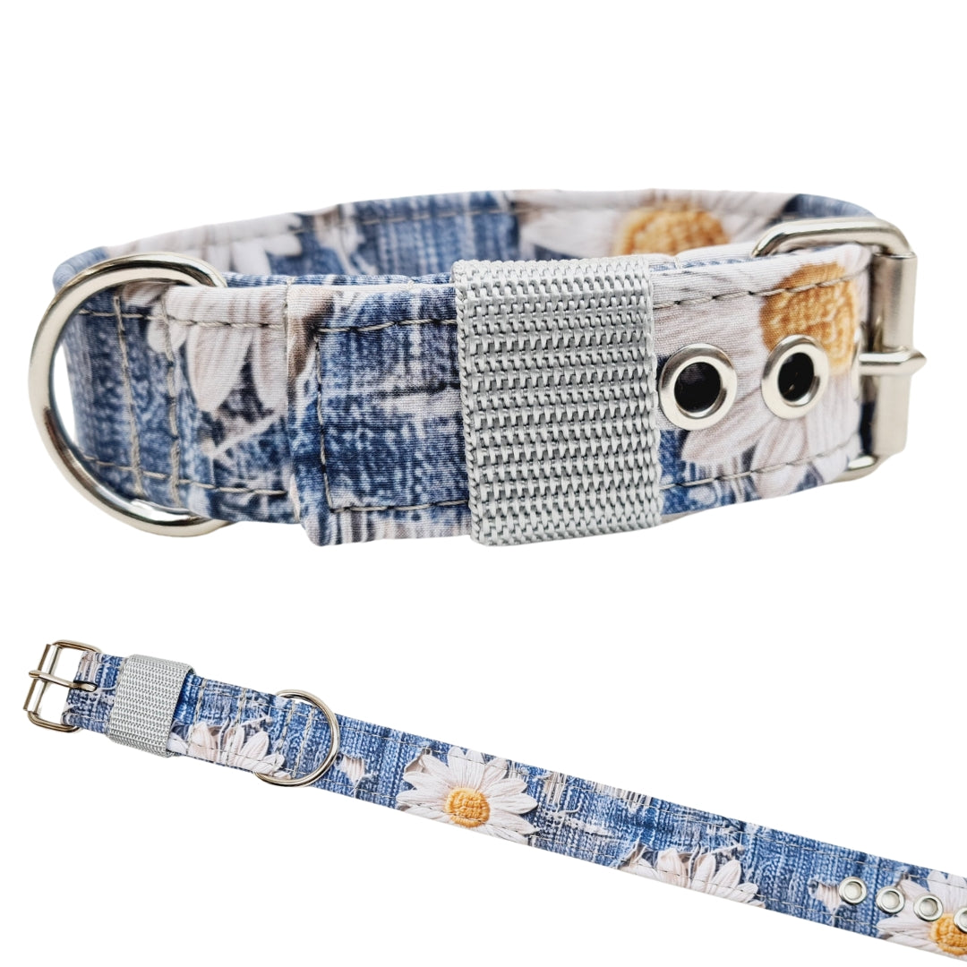 Hundehalsband Halsband Hund Hunde breites Halsband bunt Leo multi neon Schnalle Klickverschluss Martingale Zugstopp Paracord Tauhalsband Lederhalsband Dog collar Hundeaccessoires Hundetraining Hundezeug Hundeladen Onlineshop Hundeleine Leine leash Tauleine Fettleder Lederleine lang verstellbar stufenlos softshell outdoor cord canvas wasserabweisend 