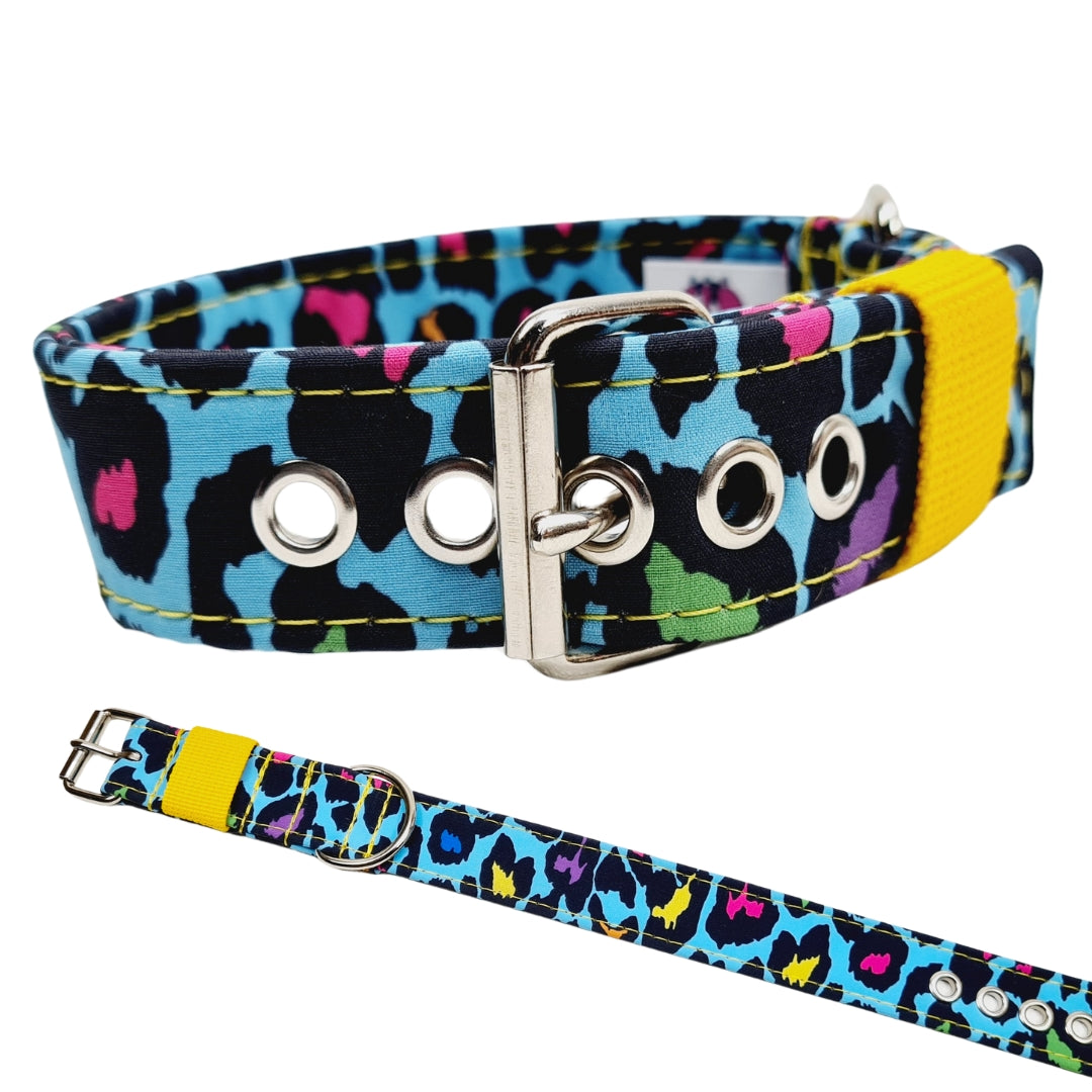 Hundehalsband Halsband Hund Hunde breites Halsband bunt Leo multi neon Schnalle Klickverschluss Martingale Zugstopp Paracord Tauhalsband Lederhalsband Dog collar Hundeaccessoires Hundetraining Hundezeug Hundeladen Onlineshop Hundeleine Leine leash Tauleine Fettleder Lederleine lang verstellbar stufenlos softshell outdoor cord canvas wasserabweisend 