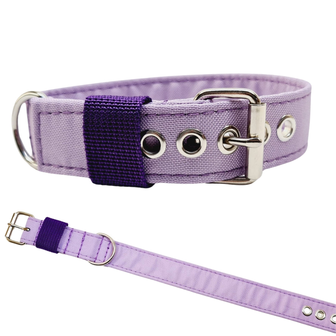 Hundehalsband Halsband Hund Hunde breites Halsband bunt Leo multi neon Schnalle Klickverschluss Martingale Zugstopp Paracord Tauhalsband Lederhalsband Dog collar Hundeaccessoires Hundetraining Hundezeug Hundeladen Onlineshop Hundeleine Leine leash Tauleine Fettleder Lederleine lang verstellbar stufenlos softshell outdoor cord canvas wasserabweisend 