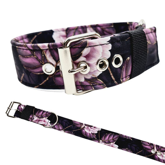 Hundehalsband Halsband Hund Hunde breites Halsband bunt Leo multi neon Schnalle Klickverschluss Martingale Zugstopp Paracord Tauhalsband Lederhalsband Dog collar Hundeaccessoires Hundetraining Hundezeug Hundeladen Onlineshop Hundeleine Leine leash Tauleine Fettleder Lederleine lang verstellbar stufenlos softshell outdoor cord canvas wasserabweisend 