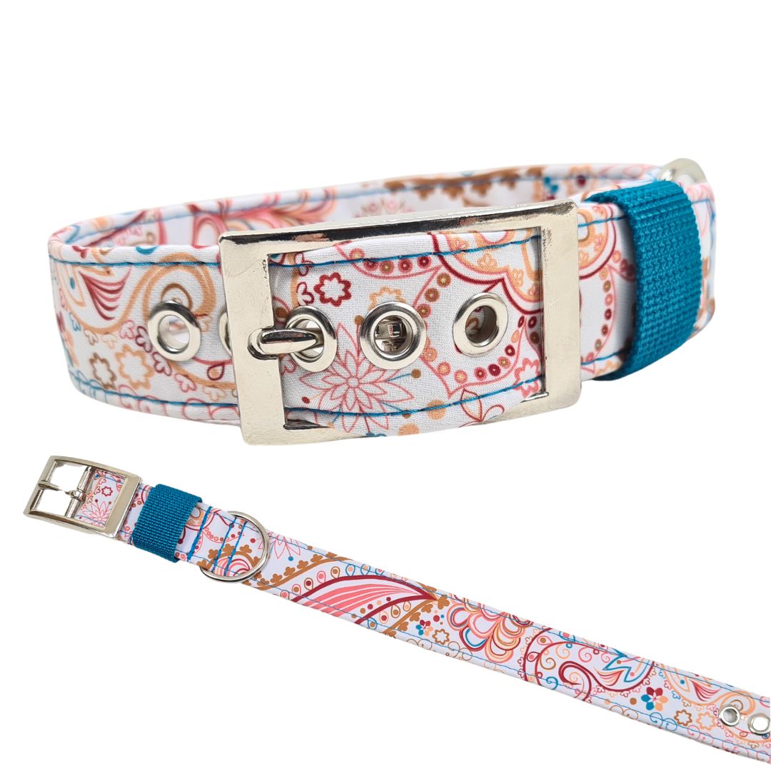 Hundehalsband Halsband Hund Hunde breites Halsband bunt Leo multi neon Schnalle Klickverschluss Martingale Zugstopp Paracord Tauhalsband Lederhalsband Dog collar Hundeaccessoires Hundetraining Hundezeug Hundeladen Onlineshop Hundeleine Leine leash Tauleine Fettleder Lederleine lang verstellbar stufenlos softshell outdoor cord canvas wasserabweisend 