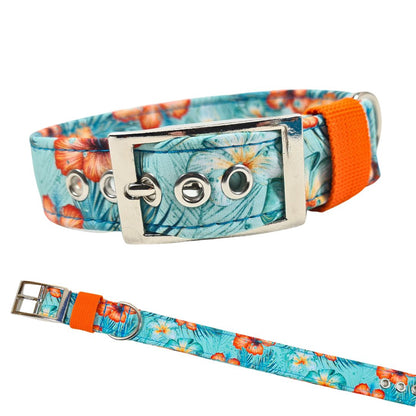 Hundehalsband Halsband Hund Hunde breites Halsband bunt Leo multi neon Schnalle Klickverschluss Martingale Zugstopp Paracord Tauhalsband Lederhalsband Dog collar Hundeaccessoires Hundetraining Hundezeug Hundeladen Onlineshop Hundeleine Leine leash Tauleine Fettleder Lederleine lang verstellbar stufenlos softshell outdoor cord canvas wasserabweisend 