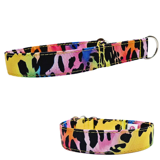 Sofortkauf-Zugstopp-Halsband-Leo-neon-multi S (28-36 cm)