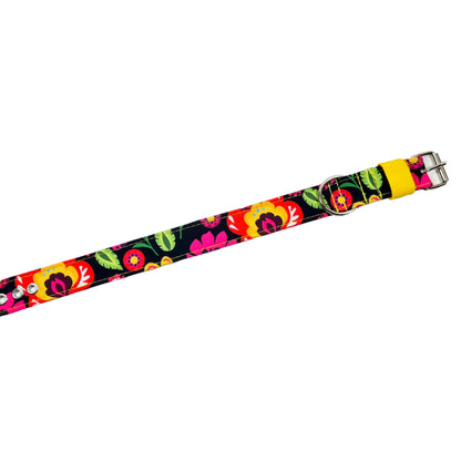 Hundehalsband Lederhalsband Paracord Zugstopp-Halsband Martingale Hundeleine Leine Lederleine Fettlederleine breites Halsband Klickverschluss Rollschnalle Ersatzbezug Flocke Hundebett Cosybed Hyggebed Donut Hundebett Flocke hundeschlafsack Hundedecke Hund Hunde Windhund luxus elegant exklusiv bequem handmade in Deutschland NRW gepolstert Softshell Brokat Dackel Dalmatiner Rhodesian Ridgeback Vizla Podenco Galgo Jagdhund Terrier Bulldogge OEB Frenchie Saluki Barsoi Labrador Cocker Spaniel Gurtband Outdoor