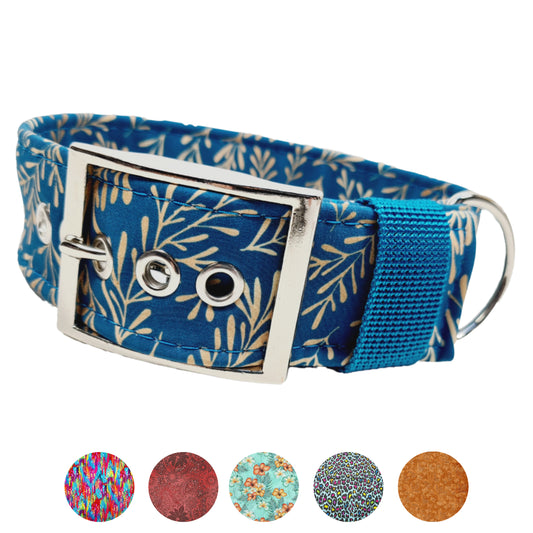 Hundehalsband Halsband Hund Hunde breites Halsband bunt Leo multi neon Schnalle Klickverschluss Martingale Zugstopp Paracord Tauhalsband Lederhalsband Dog collar Hundeaccessoires Hundetraining Hundezeug Hundeladen Onlineshop Hundeleine Leine leash Tauleine Fettleder Lederleine lang verstellbar stufenlos softshell outdoor cord canvas wasserabweisend 