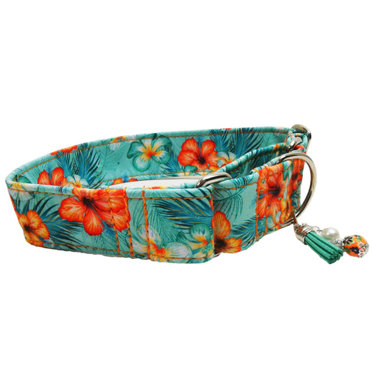 Sofortkauf-Martingale-Halsband-Softshell-Hibiskus