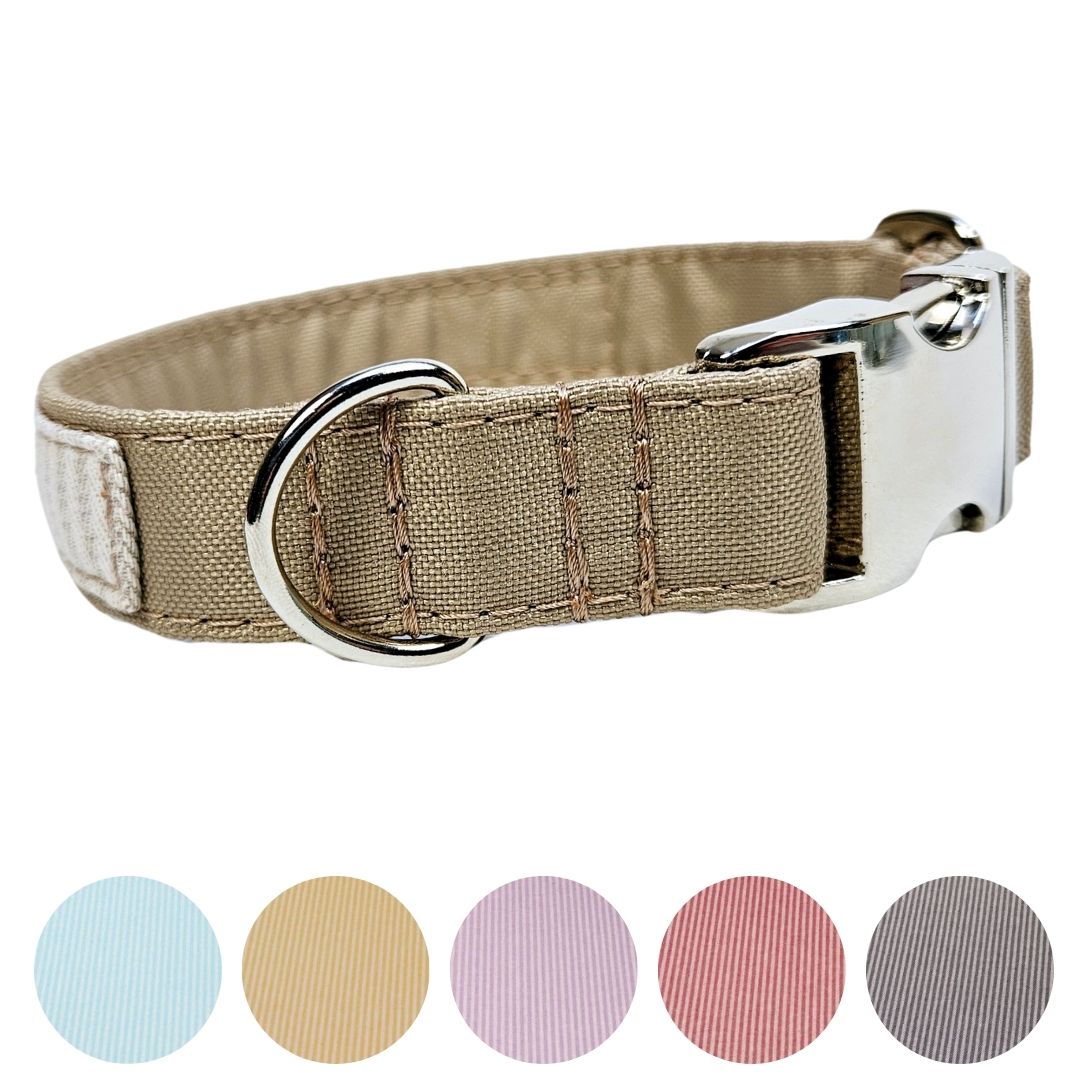 Hundehalsband "Stripes & more" mit Klick in verschiedenen Farben