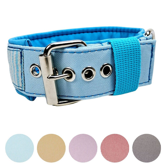 Hundehalsband "Stripes & more" mit Schnalle in verschiedenen Farben