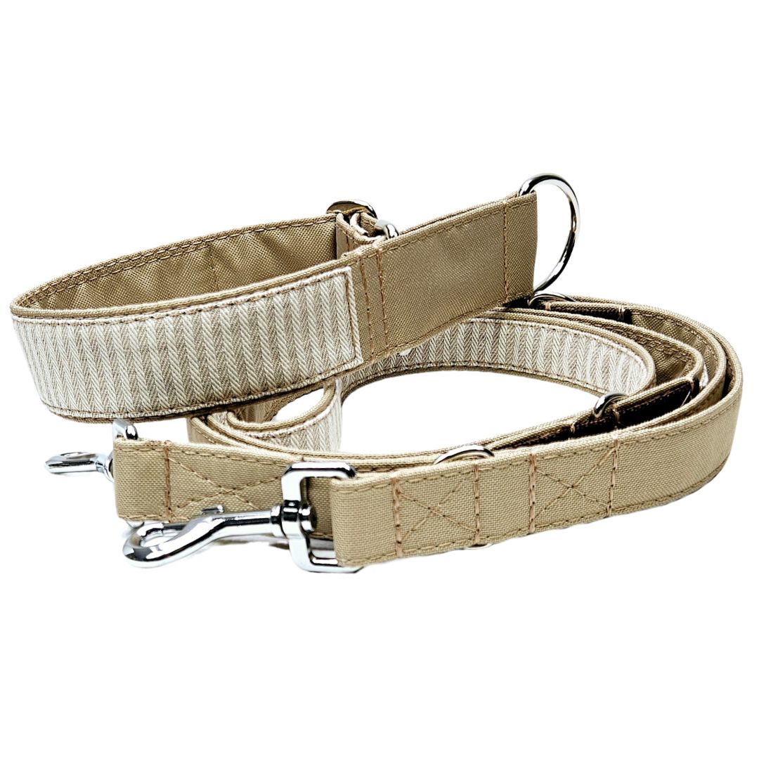 Hundehalsband "Stripes & more" - Martingale- Zugstopp in verschiedenen Farben