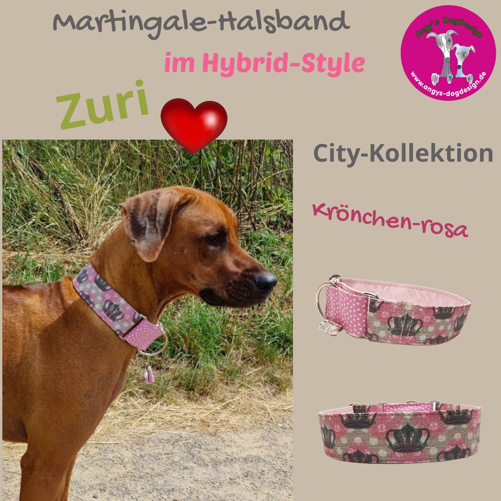 Hundehalsband Lederhalsband Paracord Zugstopp-Halsband Martingale Hundeleine Leine Lederleine Fettlederleine breites Halsband Klickverschluss Rollschnalle Ersatzbezug Flocke Hundebett Cosybed Hyggebed Donut Hundebett Flocke hundeschlafsack Hundedecke Hund Hunde Windhund luxus elegant exklusiv bequem handmade in Deutschland NRW gepolstert Softshell Brokat Dackel Dalmatiner Rhodesian Ridgeback Vizla Podenco Galgo Jagdhund Terrier Bulldogge OEB Frenchie Saluki Barsoi Labrador Cocker Spaniel Krönchen
