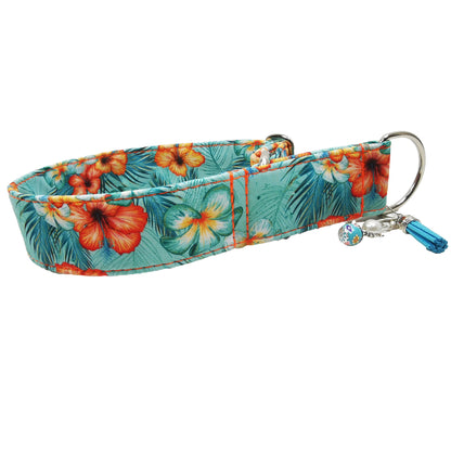 Hundehalsband-Outdoor-bunt-Martingale- Zugstopp (personalisierbar)