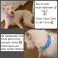 Hundehalsband "City-Multi" - Martingale- Zugstopp in verschiedenen Farben