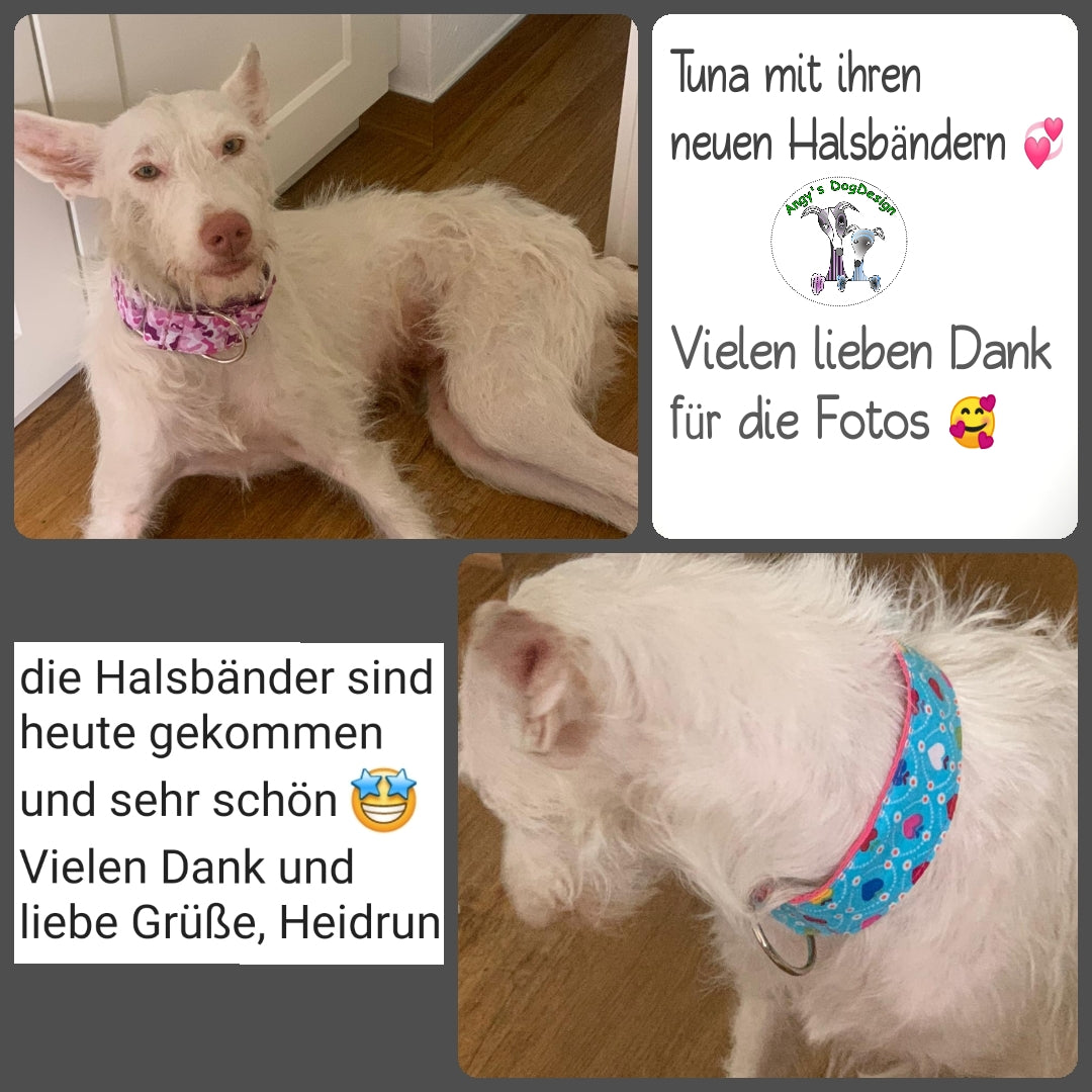 Hundehalsband Lederhalsband Paracord Zugstopp-Halsband Martingale Hundeleine Leine Lederleine Fettlederleine breites Halsband Klickverschluss Rollschnalle Ersatzbezug Flocke Hundebett Cosybed Hyggebed Donut Hundebett Flocke hundeschlafsack Hundedecke Hund Hunde Windhund luxus elegant exklusiv bequem handmade in Deutschland NRW gepolstert Softshell Brokat Dackel Dalmatiner Rhodesian Ridgeback Vizla Podenco Galgo Jagdhund Terrier Bulldogge OEB Frenchie Saluki Barsoi Labrador Cocker Spaniel Herzen