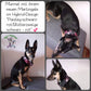 Hundehalsband Lederhalsband Paracord Zugstopp-Halsband Martingale Hundeleine Leine Lederleine Fettlederleine breites Halsband Klickverschluss Rollschnalle Ersatzbezug Flocke Hundebett Cosybed Hyggebed Donut Hundebett Flocke hundeschlafsack Hundedecke Hund Hunde Windhund luxus elegant exklusiv bequem handmade in Deutschland NRW gepolstert Softshell Brokat Dackel Dalmatiner Rhodesian Ridgeback Vizla Podenco Galgo Jagdhund Terrier Bulldogge OEB Frenchie Saluki Barsoi Labrador Cocker biothane hybrid