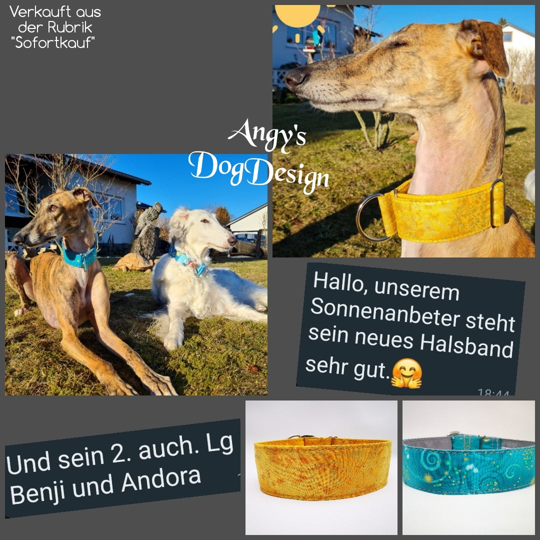 Hundehalsband "City-Glitzer" - Martingale- Zugstopp in verschiedenen Farben