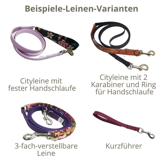 Hundeleine "City-Federn kombiniert mit BioThane®" in verschiedenen Farben