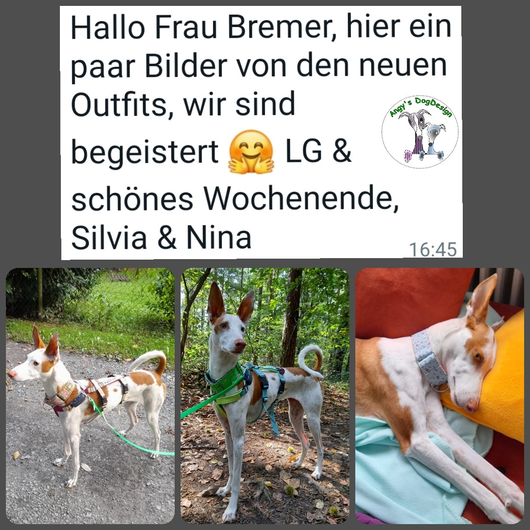 Sofortkauf-Hundeleinen aus "BioThane®" puderrosa-13mm-normal