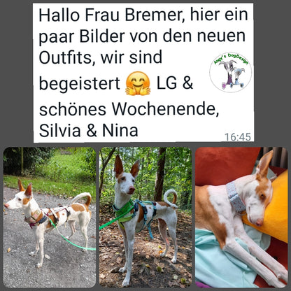 Sofortkauf-Hundeleinen aus "BioThane®" puderrosa-13mm-normal